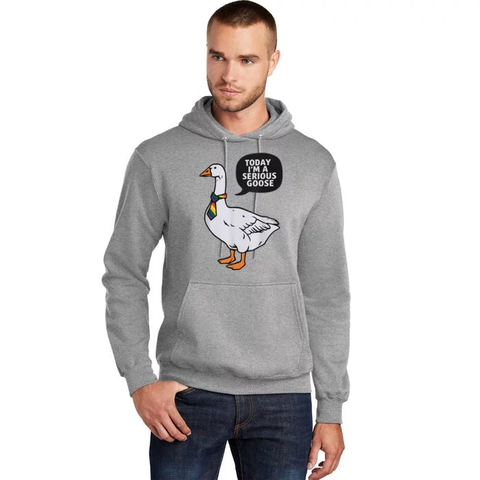 Today IM A Serious Goose Lgbt Cute Funny Serious Goose Tall Hoodie