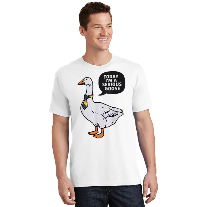 Today IM A Serious Goose Lgbt Cute Funny Serious Goose T-Shirt