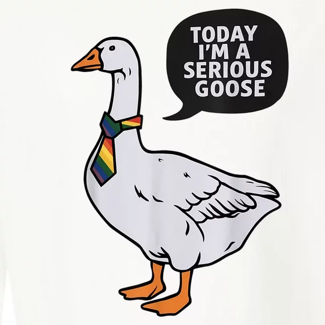 Today IM A Serious Goose Lgbt Cute Funny Serious Goose Cropped Pullover Crew