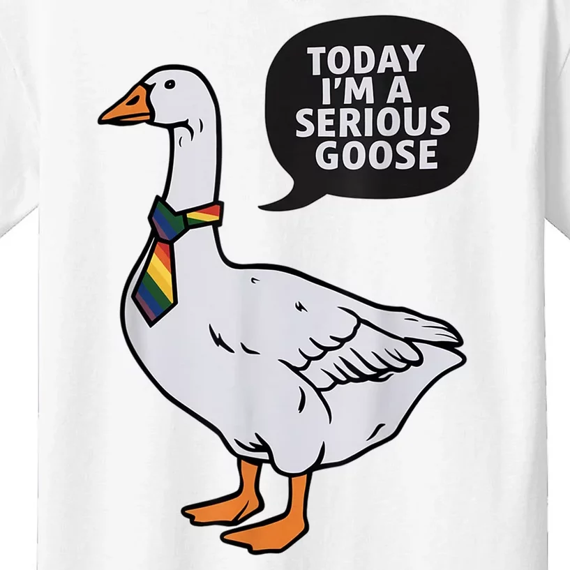 Today IM A Serious Goose Lgbt Cute Funny Serious Goose Kids T-Shirt