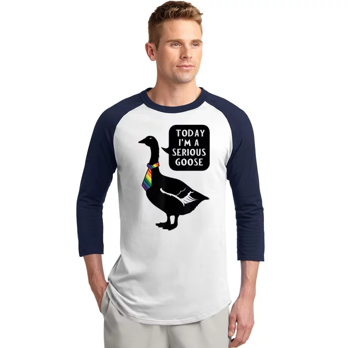 Today IM A Serious Goose Lgbt Cute Funny Serious Goose Baseball Sleeve Shirt