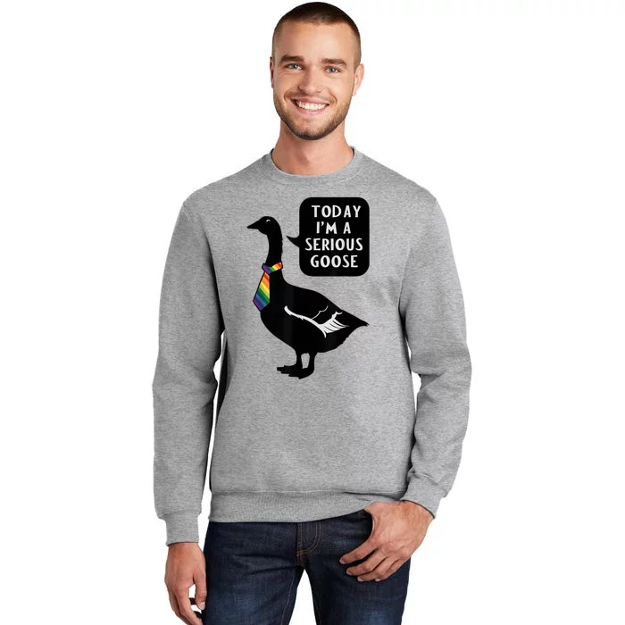 Today IM A Serious Goose Lgbt Cute Funny Serious Goose Tall Sweatshirt