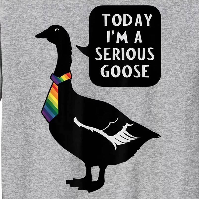 Today IM A Serious Goose Lgbt Cute Funny Serious Goose Tall Sweatshirt