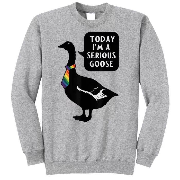 Today IM A Serious Goose Lgbt Cute Funny Serious Goose Tall Sweatshirt