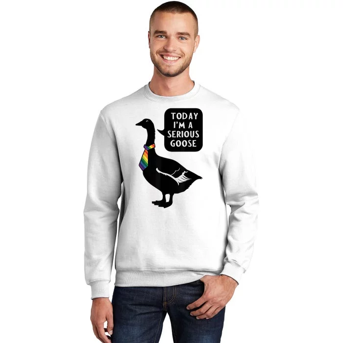 Today IM A Serious Goose Lgbt Cute Funny Serious Goose Sweatshirt