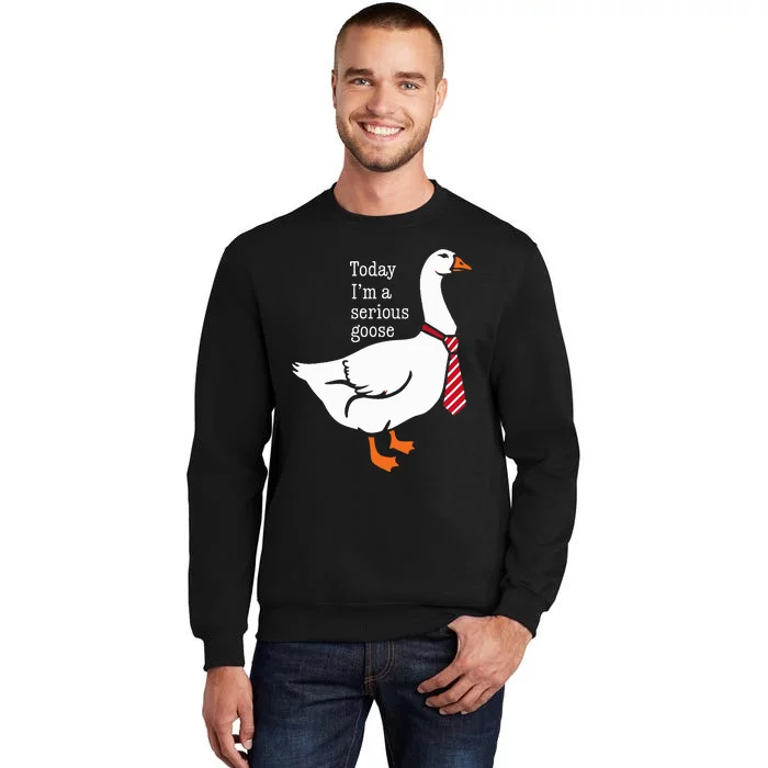 Today IM A Serious Goose Funny Cute Goose Sweatshirt