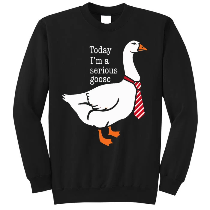 Today IM A Serious Goose Funny Cute Goose Sweatshirt