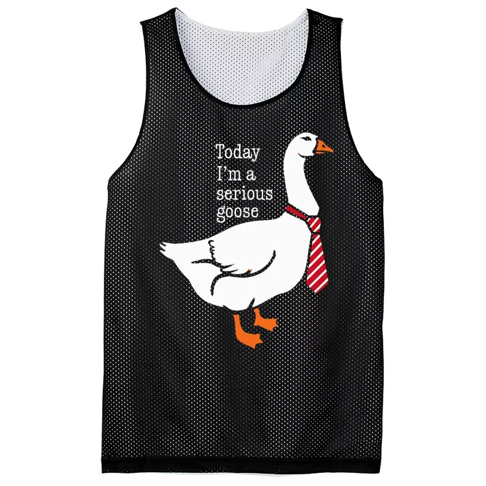 Today IM A Serious Goose Funny Cute Goose Mesh Reversible Basketball Jersey Tank