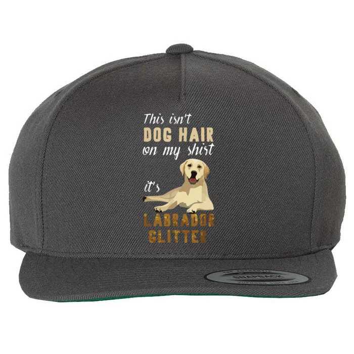 This Isnt Dog Hair On My Its Labrador Wool Snapback Cap