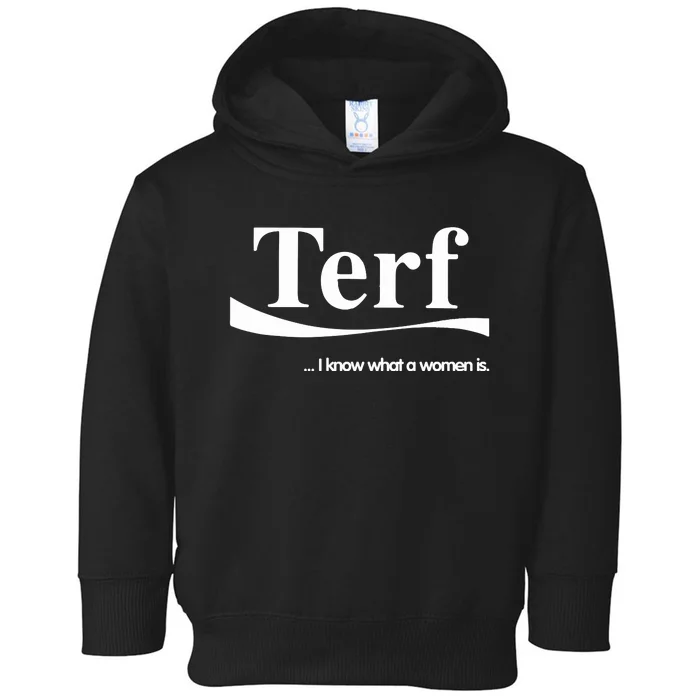 Tired I Know What A Woman Is Ladies Toddler Hoodie