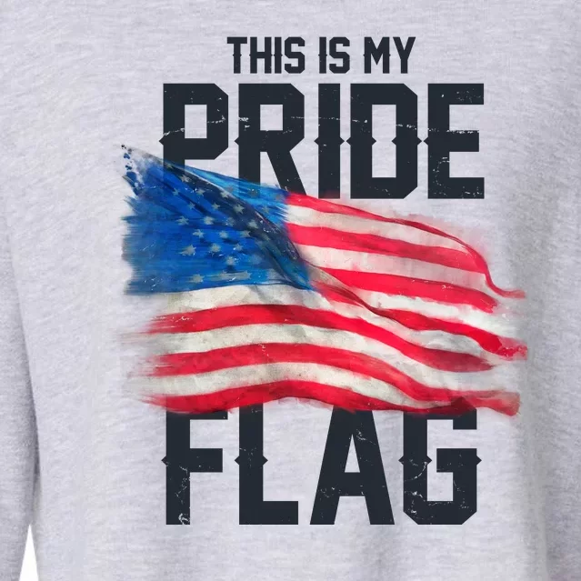 This Is My Pride Flag United States Patriot Flag Cropped Pullover Crew