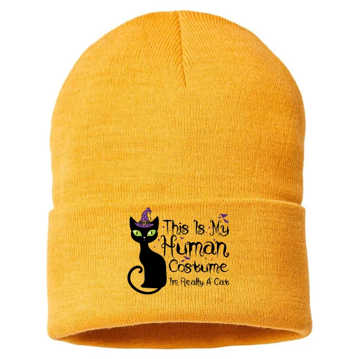 This Is My Hu Costume IM Really A Cat Black Cat Witch Funny Gift Sustainable Knit Beanie