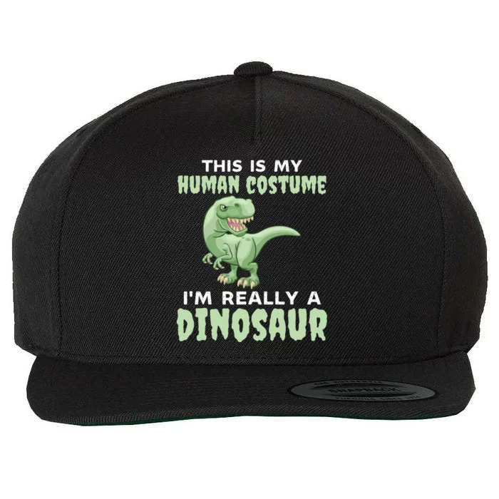 This Is My Hu Costume IM Really A Dinosaur Halloween Gift Wool Snapback Cap