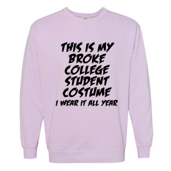 This Is My Broke College Student Costume I Wear It All Year Gift Garment-Dyed Sweatshirt