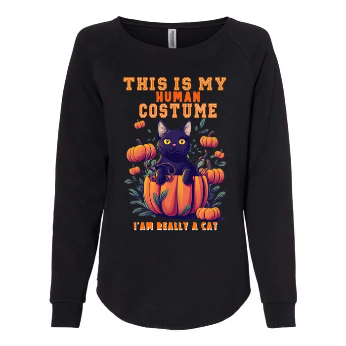 This Is My Human Costume I'm Really A Cat Pumkin Halloween Womens California Wash Sweatshirt