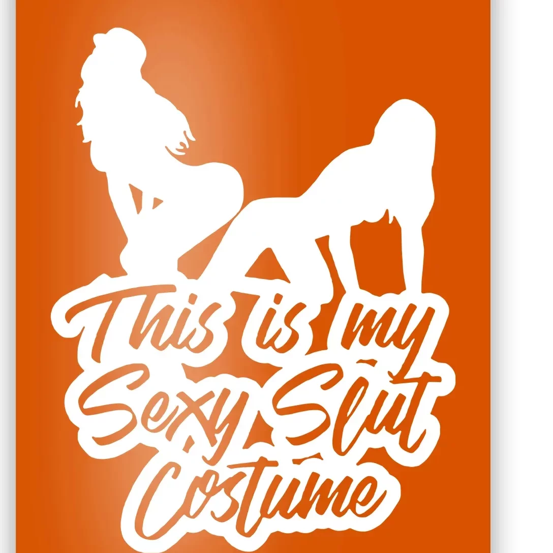 This Is My Sexy Slut Costume Poster