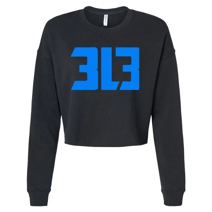 This is my Detroit 313 Michigan Distressed Cropped Pullover Crew