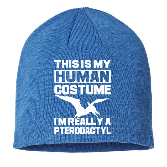 This Is My Hu I'm Really A Pterodactyl Halloween Dinosaur Gift 8 1/2in Sustainable Knit Beanie