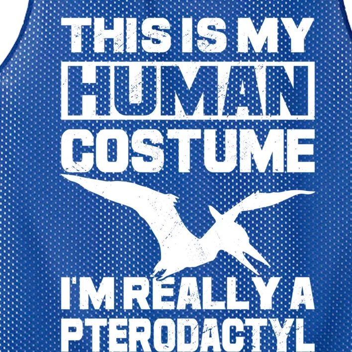 This Is My Hu I'm Really A Pterodactyl Halloween Dinosaur Gift Mesh Reversible Basketball Jersey Tank