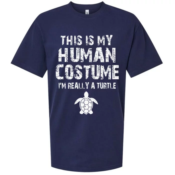 This Is My Human Costume I'm Really A Turtle Sueded Cloud Jersey T-Shirt