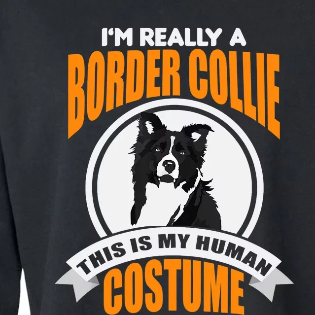 This Is My Human Costume Im Really a Border Collie Christmas Cropped Pullover Crew