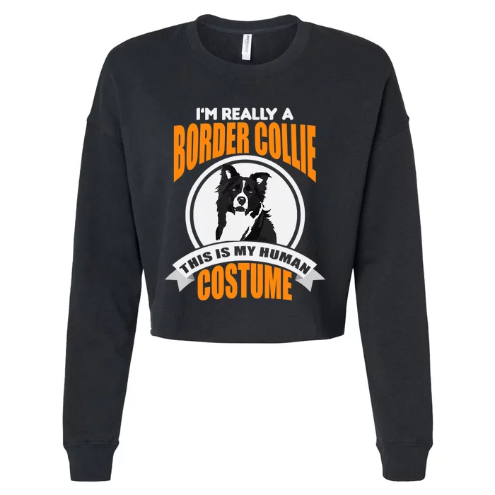 This Is My Human Costume Im Really a Border Collie Christmas Cropped Pullover Crew