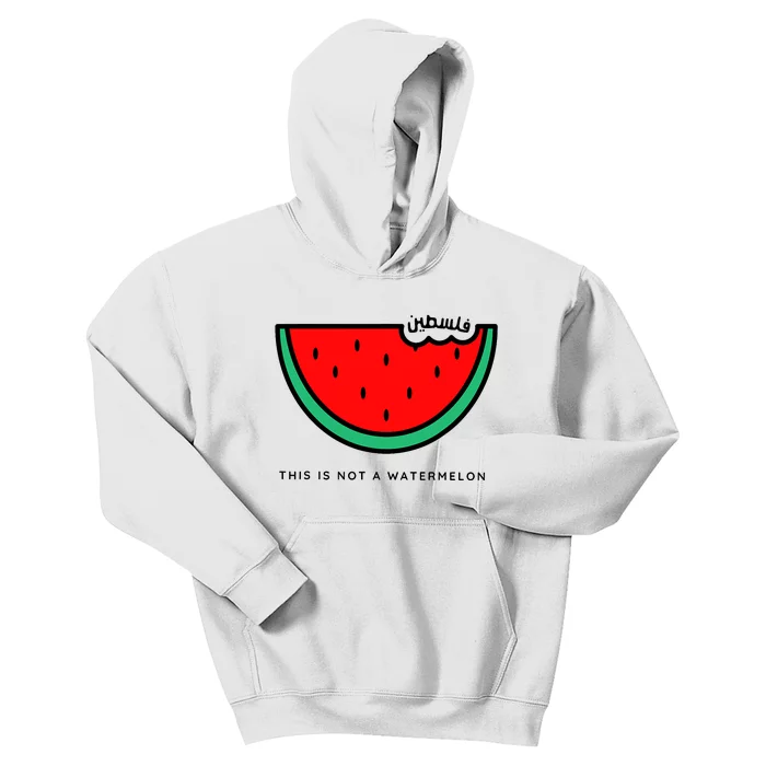 This Is Not A Watermelon Palestine Collection Kids Hoodie