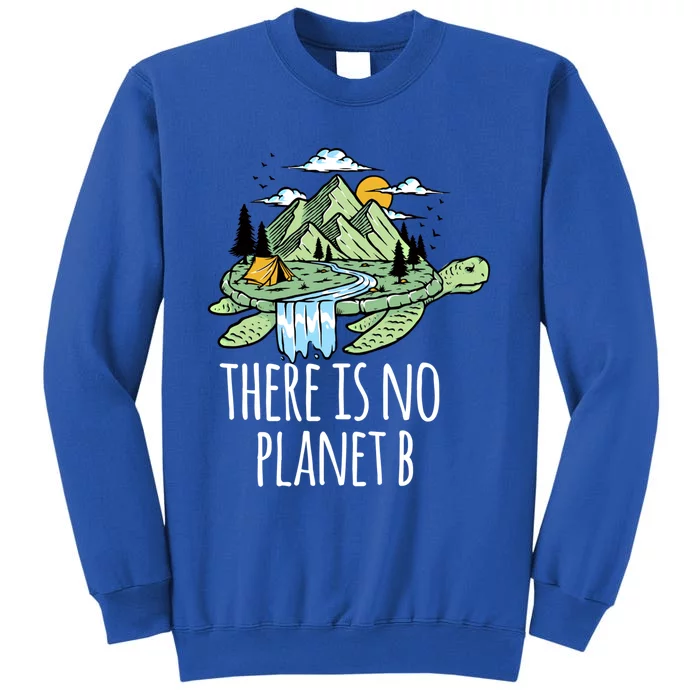 There Is No Planet B Nature Turtle Help Save Our Planet Gift Tall Sweatshirt