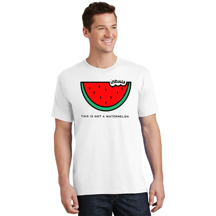 This Is Not A Watermelon Funny Joke T-Shirt