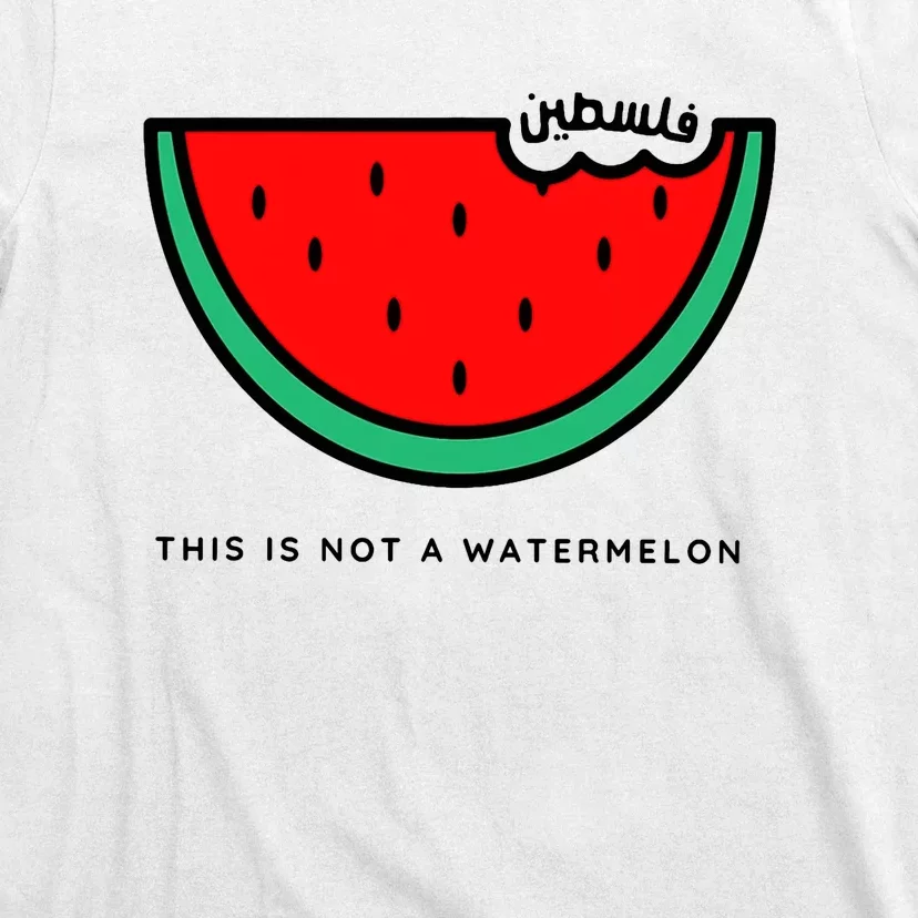 This Is Not A Watermelon Funny Joke T-Shirt