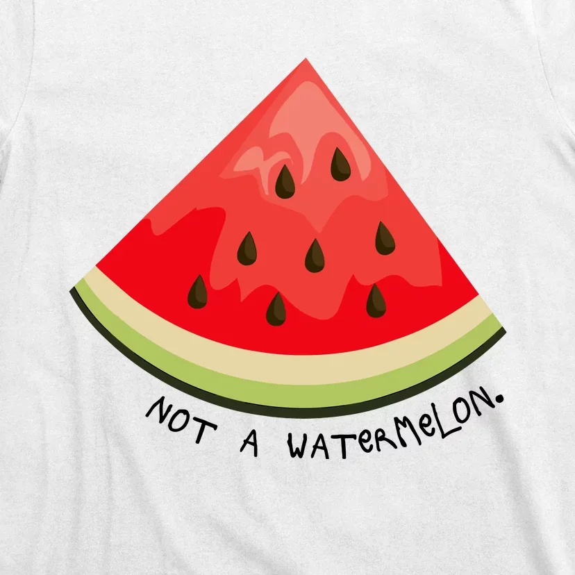 This Is Not A Watermelon Watermelon Freedom Solidarity T-Shirt