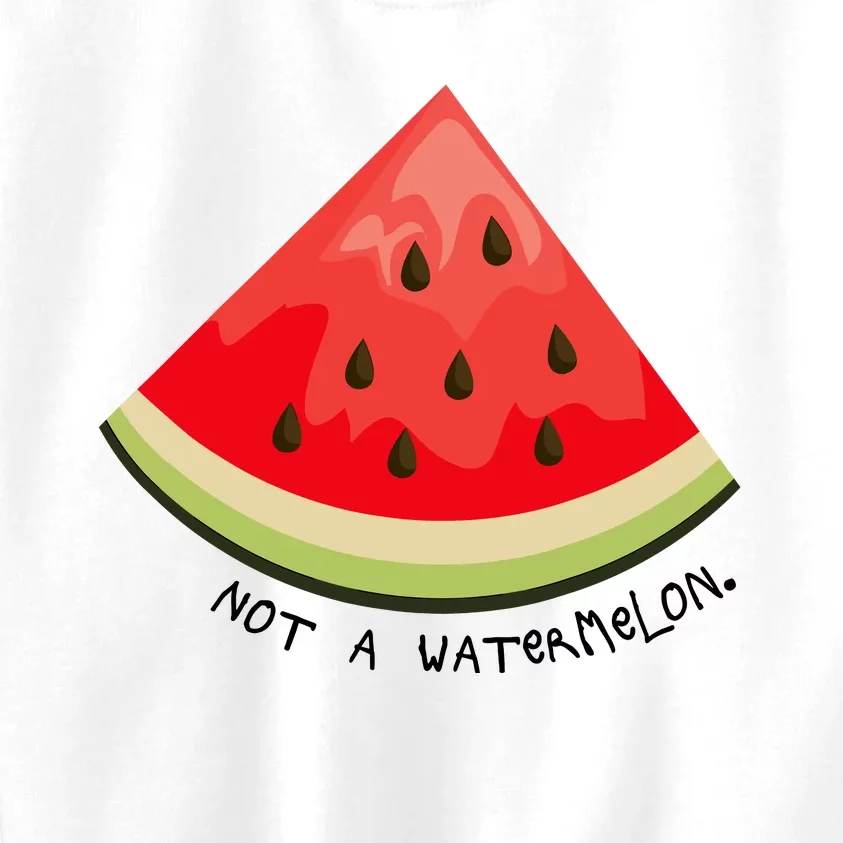 This Is Not A Watermelon Watermelon Freedom Solidarity Kids Sweatshirt