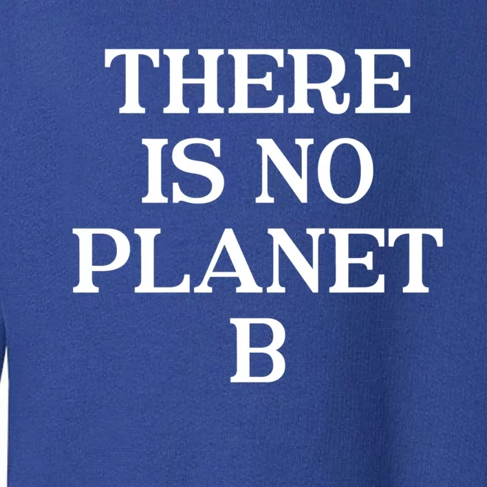 There Is No Planet B Gift Fun Cool Environtal Activist Quote Gift Toddler Sweatshirt