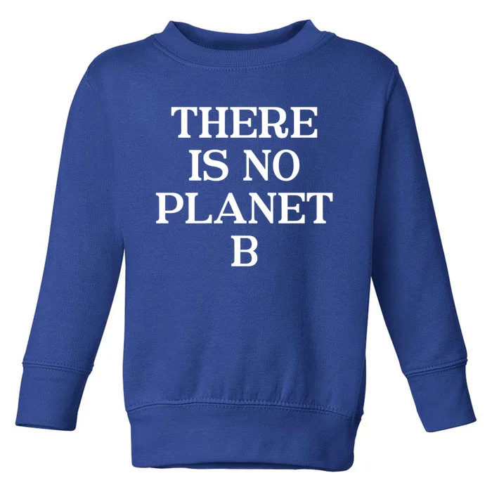 There Is No Planet B Gift Fun Cool Environtal Activist Quote Gift Toddler Sweatshirt