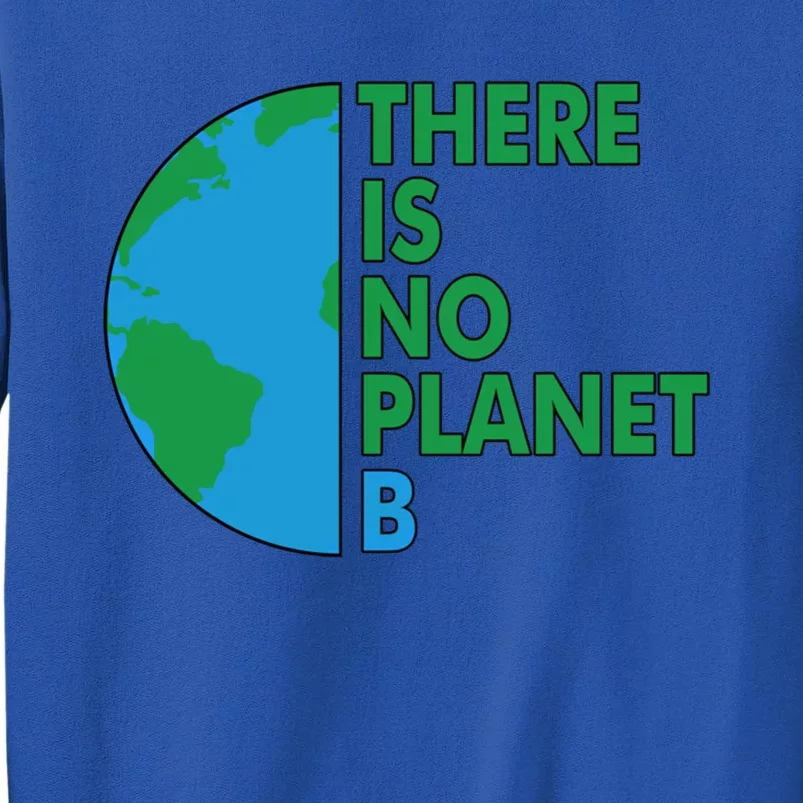 There Is No Planet B Earth Day Environtal Protection Great Gift Sweatshirt