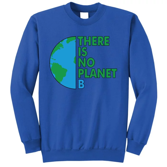 There Is No Planet B Earth Day Environtal Protection Great Gift Tall Sweatshirt