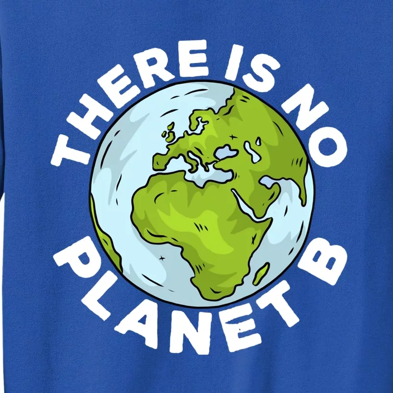 There Is No Planet B Love Mother Earth Environtal Funny Gift Tall Sweatshirt