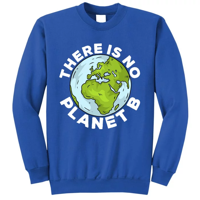 There Is No Planet B Love Mother Earth Environtal Funny Gift Tall Sweatshirt