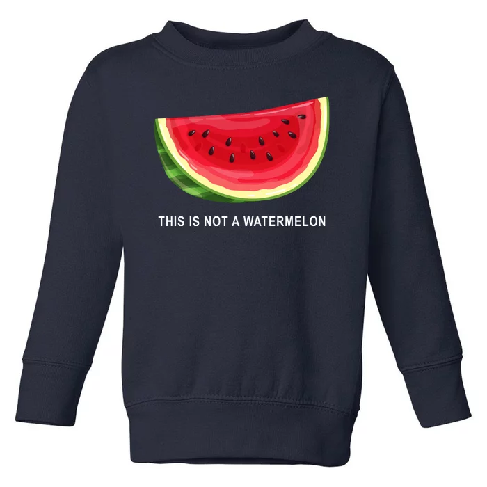 This Is Not A Watermelon Funny Toddler Sweatshirt