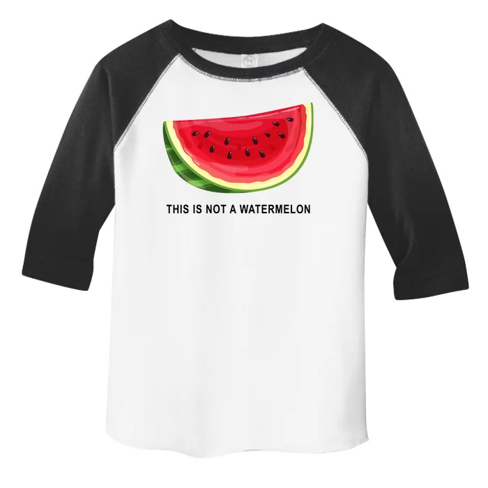 This Is Not A Watermelon Funny Toddler Fine Jersey T-Shirt