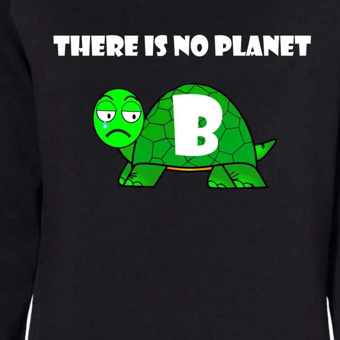 There Is No Planet B Rescue Turtle Save Our Planet Gift Womens California Wash Sweatshirt