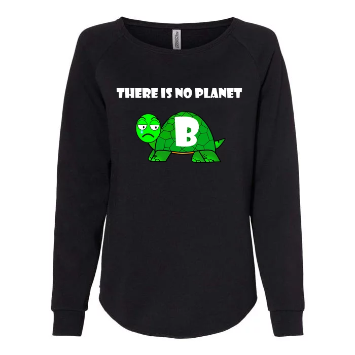 There Is No Planet B Rescue Turtle Save Our Planet Gift Womens California Wash Sweatshirt