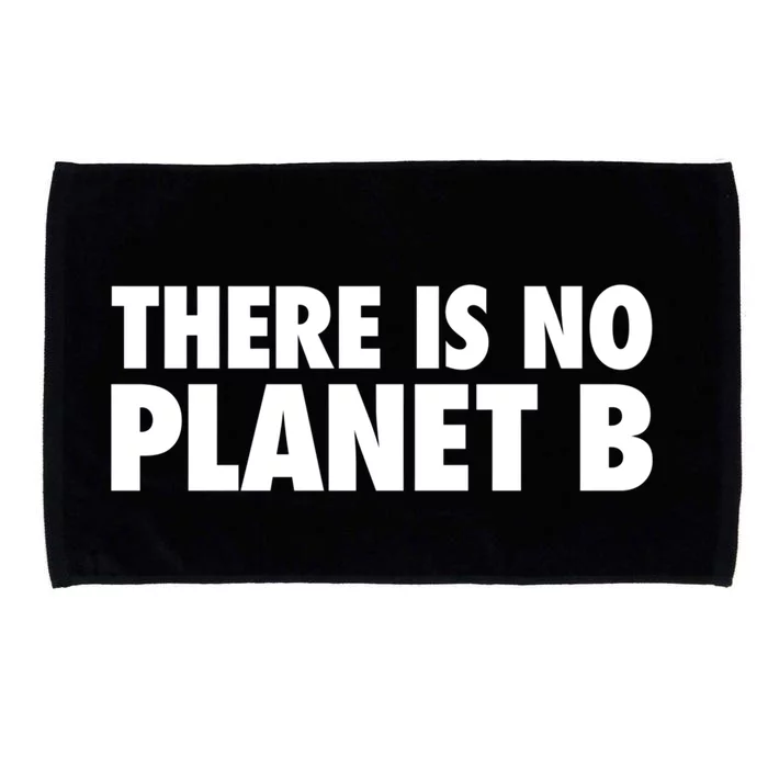 There Is No Planet B Gift Climate Change Awareness Gift Microfiber Hand Towel