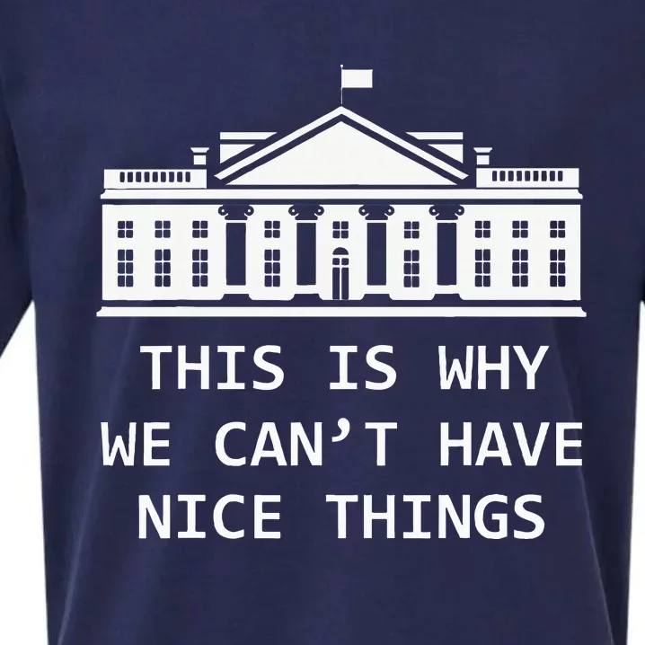 This Is Why We CanT Have Nice Things Freedom Libertarian Sueded Cloud Jersey T-Shirt