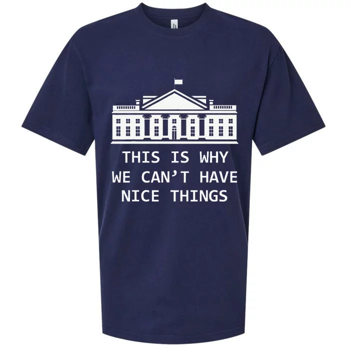 This Is Why We CanT Have Nice Things Freedom Libertarian Sueded Cloud Jersey T-Shirt