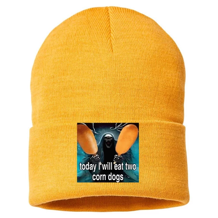 Today I Will Eat Two Corn Dogs Meme Silly Sustainable Knit Beanie