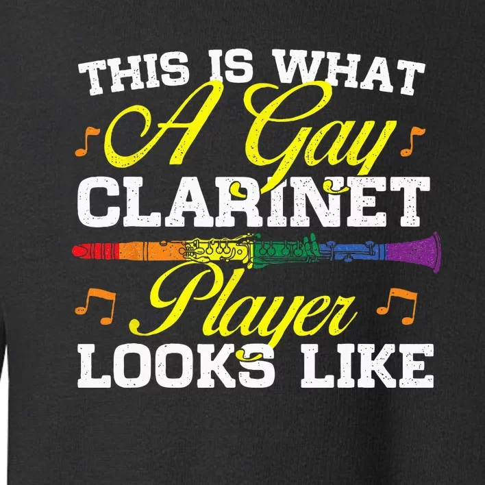 This Is What A Gay Clarinet Player Looks Like Clarinetist Toddler Sweatshirt