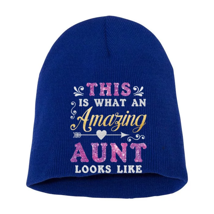 This Is What An Amazing Aunt Looks Like Funny Family Ladies Gift Short Acrylic Beanie