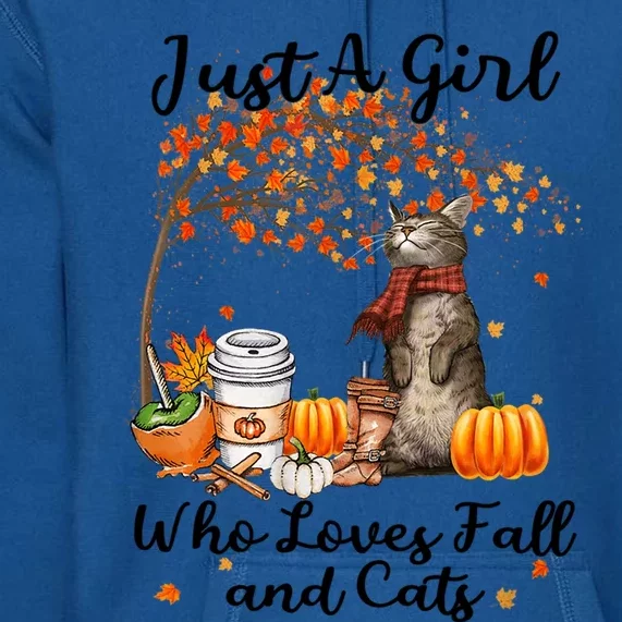 Tu Just A Who Loves Fall And Cat Costume Thanksgiving Cool Gift Premium Hoodie