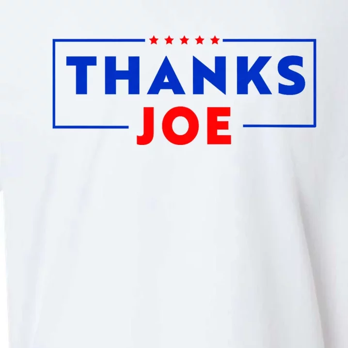 Thanks Joe Thank You Joe Biden Thank You President Sueded Cloud Jersey T-Shirt